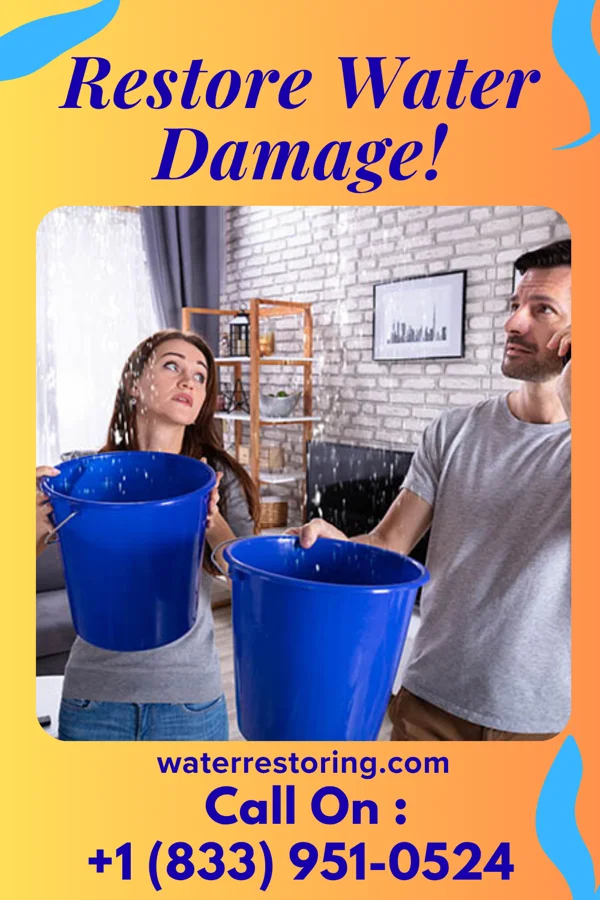 water restoration Horizon Water Damage & Sons Port Wing